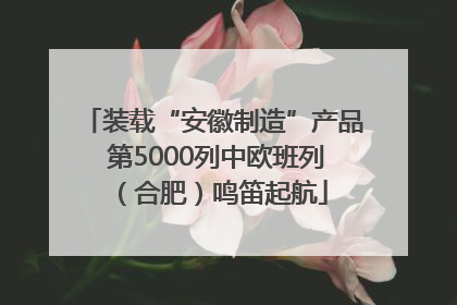 装载“安徽制造”产品 第5000列中欧班列（合肥）鸣笛起航
