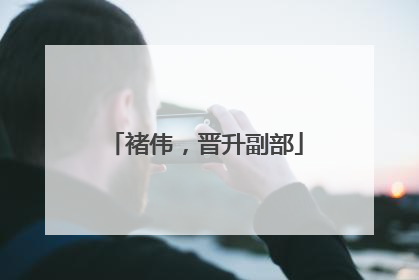 褚伟，晋升副部