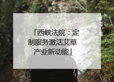 西峡法院：定制服务激活艾草产业新动能
