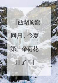 西湖顶流回归：今夏第一朵荷花开了！
