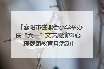 襄阳市磁器街小学举办庆“六一”文艺展演暨心理健康教育月活动