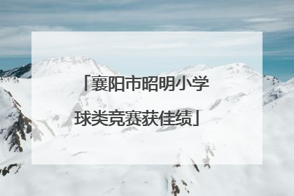 襄阳市昭明小学球类竞赛获佳绩