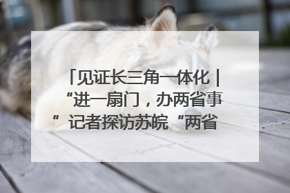 见证长三角一体化｜“进一扇门，办两省事”记者探访苏皖“两省一街”警务室