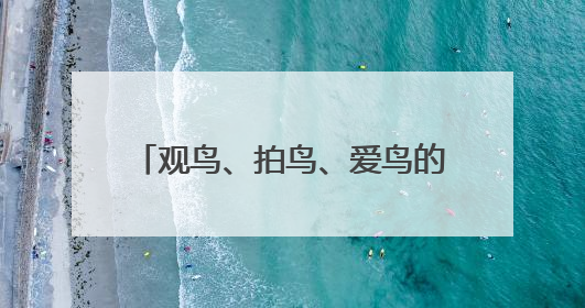 观鸟、拍鸟、爱鸟的“勺子王”李东明