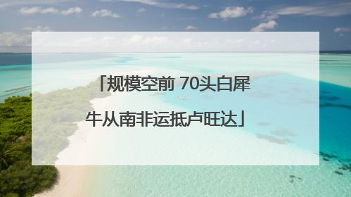 规模空前 70头白犀牛从南非运抵卢旺达
