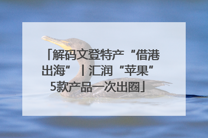 解码文登特产“借港出海”丨汇润“苹果”5款产品一次出圈