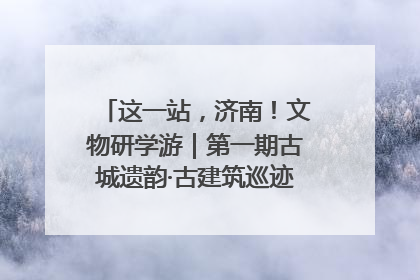 这一站，济南！文物研学游｜第一期古城遗韵·古建筑巡迹之旅圆满结束