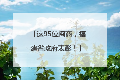 这95位闽商，福建省政府表彰！