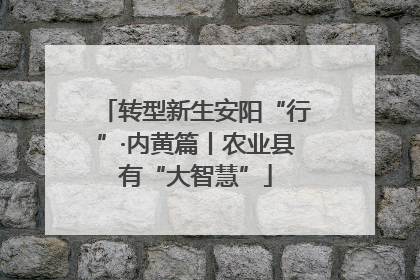 转型新生安阳“行”·内黄篇丨农业县有“大智慧”