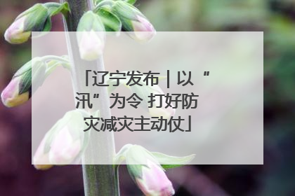 辽宁发布｜以“汛”为令 打好防灾减灾主动仗