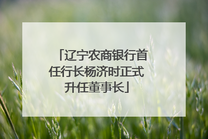 辽宁农商银行首任行长杨济时正式升任董事长