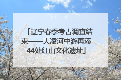 辽宁春季考古调查结束——大凌河中游再添44处红山文化遗址