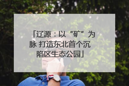 辽源：以“矿”为脉 打造东北首个沉陷区生态公园