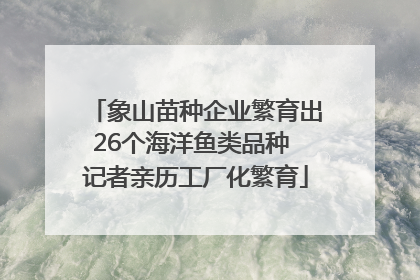 象山苗种企业繁育出26个海洋鱼类品种 记者亲历工厂化繁育