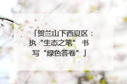 贺兰山下西夏区：执“生态之笔” 书写“绿色答卷”