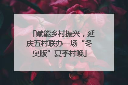 赋能乡村振兴，延庆五村联办一场“冬奥版”夏季村晚
