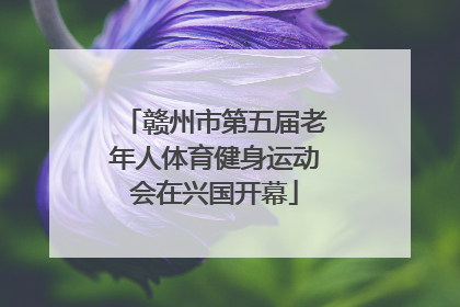 赣州市第五届老年人体育健身运动会在兴国开幕