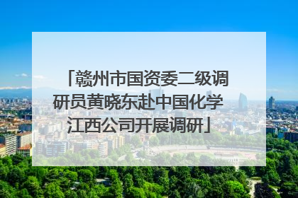 赣州市国资委二级调研员黄晓东赴中国化学江西公司开展调研