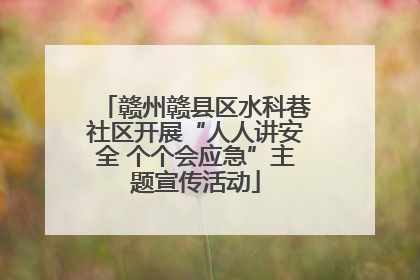 赣州赣县区水科巷社区开展“人人讲安全 个个会应急”主题宣传活动