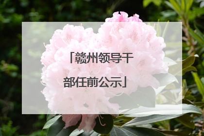 赣州领导干部任前公示