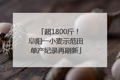 超1800斤！阜阳一小麦示范田单产纪录再刷新