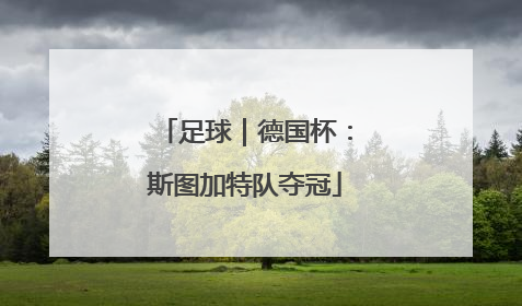 足球｜德国杯：斯图加特队夺冠