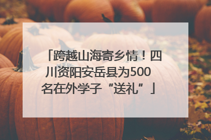 跨越山海寄乡情！四川资阳安岳县为500名在外学子“送礼”