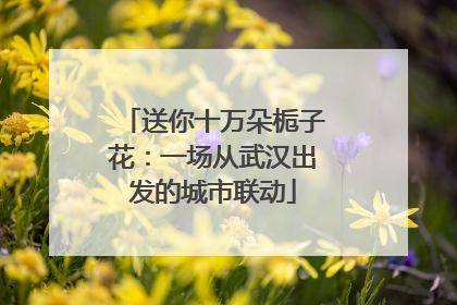 送你十万朵栀子花：一场从武汉出发的城市联动