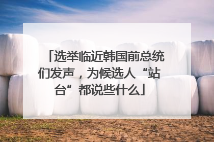 选举临近韩国前总统们发声，为候选人“站台”都说些什么