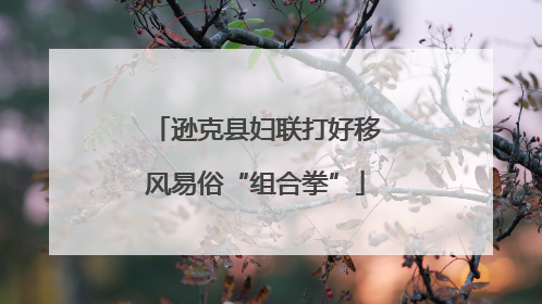 逊克县妇联打好移风易俗“组合拳”