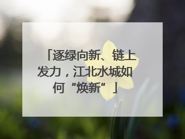 逐绿向新、链上发力，江北水城如何“焕新”