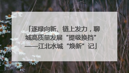 逐绿向新、链上发力，聊城高质量发展“提级换挡”——江北水城“焕新”记