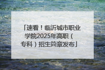 速看！临沂城市职业学院2025年高职（专科）招生简章发布