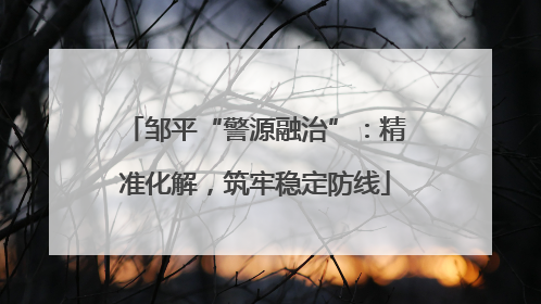 邹平“警源融治”：精准化解，筑牢稳定防线