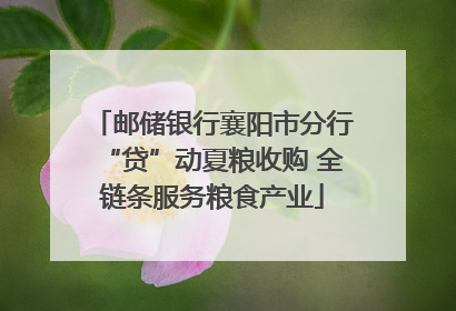 邮储银行襄阳市分行“贷”动夏粮收购 全链条服务粮食产业