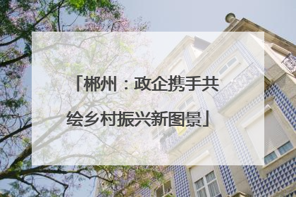 郴州：政企携手共绘乡村振兴新图景