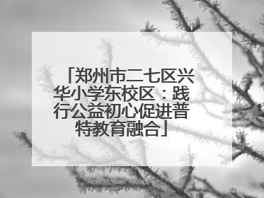 郑州市二七区兴华小学东校区：践行公益初心促进普特教育融合