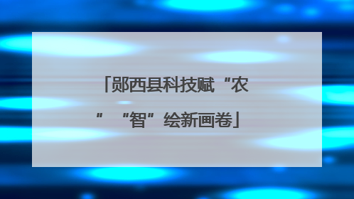 郧西县科技赋“农”“智”绘新画卷