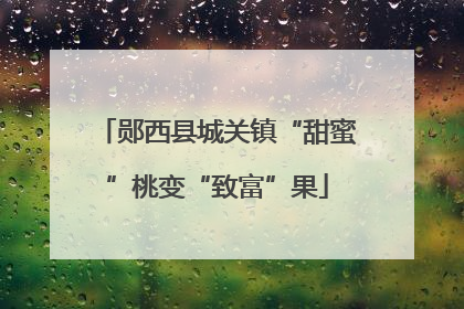 郧西县城关镇“甜蜜”桃变“致富”果