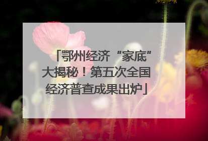 鄂州经济“家底”大揭秘！第五次全国经济普查成果出炉