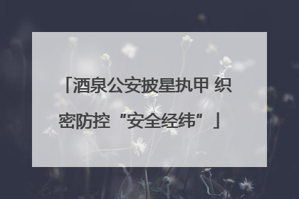 酒泉公安披星执甲 织密防控“安全经纬”