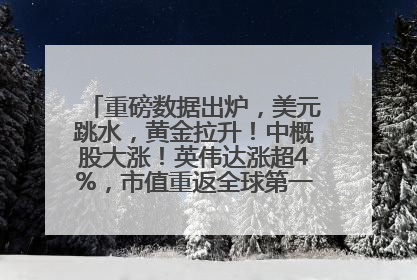 重磅数据出炉，美元跳水，黄金拉升！中概股大涨！英伟达涨超4%，市值重返全球第一！黄仁勋计划出售至多600万股股票