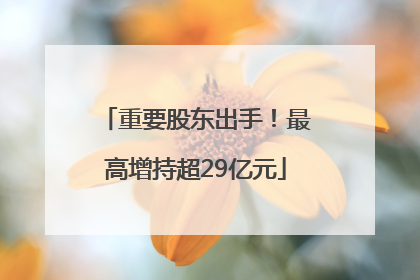 重要股东出手！最高增持超29亿元