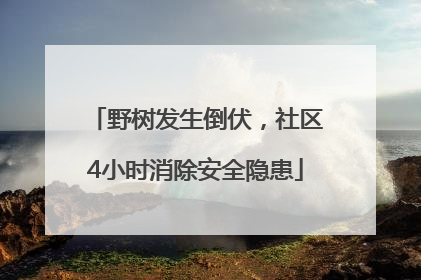 野树发生倒伏，社区4小时消除安全隐患