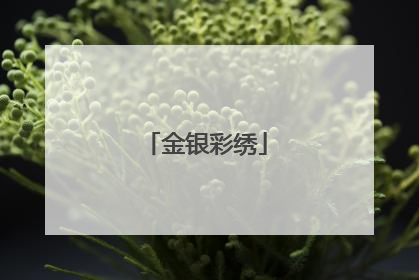 金银彩绣
