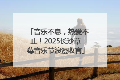 音乐不息，热爱不止！2025长沙草莓音乐节浪漫收官