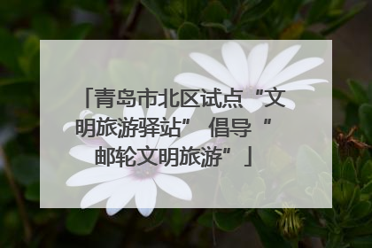青岛市北区试点“文明旅游驿站” 倡导“邮轮文明旅游”