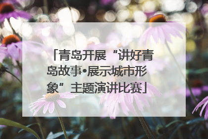 青岛开展“讲好青岛故事•展示城市形象”主题演讲比赛