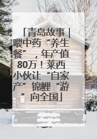 青岛故事｜喂中药“养生餐”，年产值80万！莱西小伙让“自家产”锦鲤“游”向全国