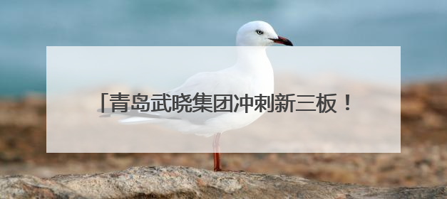 青岛武晓集团冲刺新三板！近两年营收均超20亿元